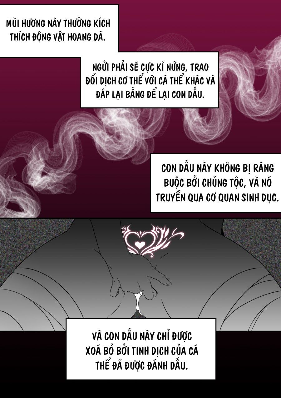 Xayah Chương 0 page 3 - Giả Dược