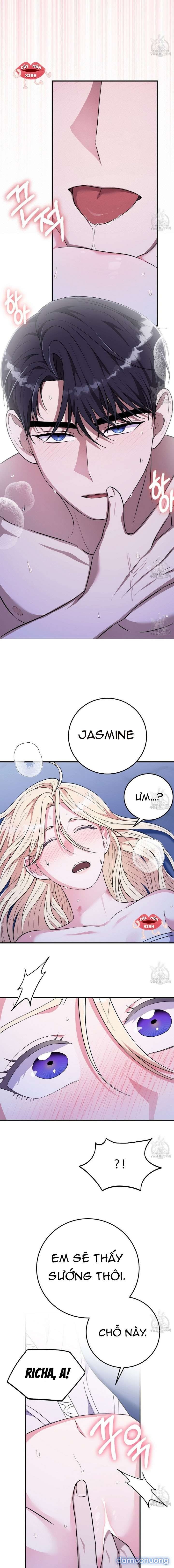 đọc truyện Xin Hãy Để Ý Tới Jasmine Chương 17 ảnh 6 tại Thiên Thai Truyện