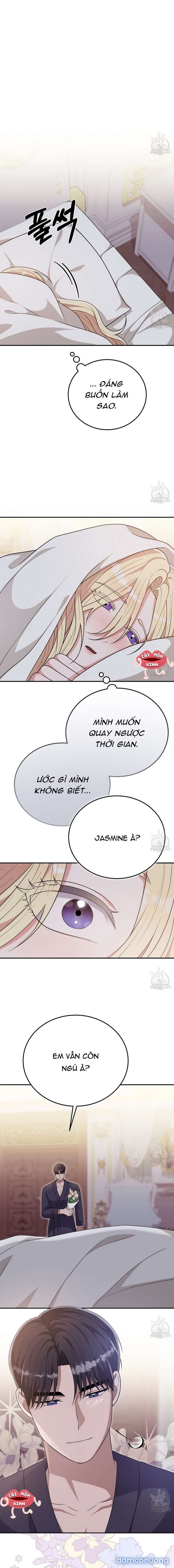 đọc truyện Xin Hãy Để Ý Tới Jasmine Chương 28 ảnh 8 tại Thiên Thai Truyện