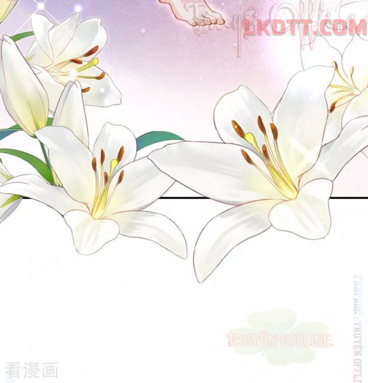 đọc truyện Xuyên Không Đến Ai Câp – Trở Thành Nàng Dâu Của Vua Chương 11 ảnh 24 tại Thiên Thai Truyện