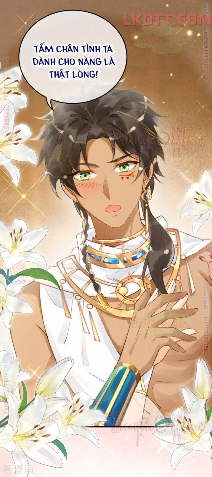 đọc truyện Xuyên Không Đến Ai Câp – Trở Thành Nàng Dâu Của Vua Chương 11 ảnh 6 tại Thiên Thai Truyện