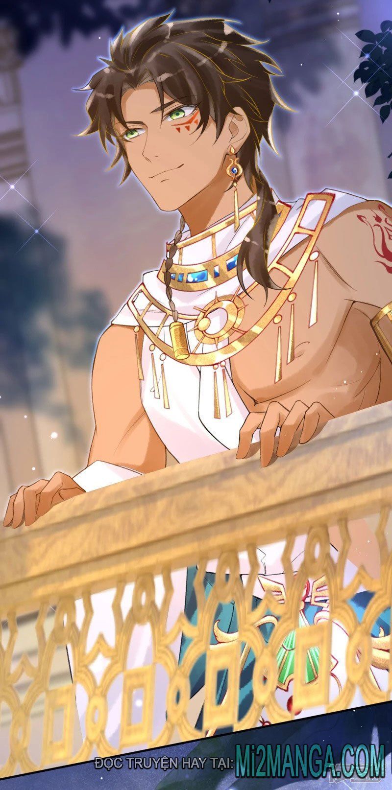 đọc truyện Xuyên Không Đến Ai Câp – Trở Thành Nàng Dâu Của Vua Chương 12 ảnh 28 tại Thiên Thai Truyện