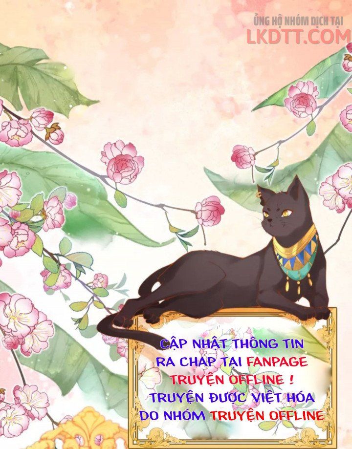 đọc truyện Xuyên Không Đến Ai Câp – Trở Thành Nàng Dâu Của Vua Chương 13 ảnh 31 tại Thiên Thai Truyện