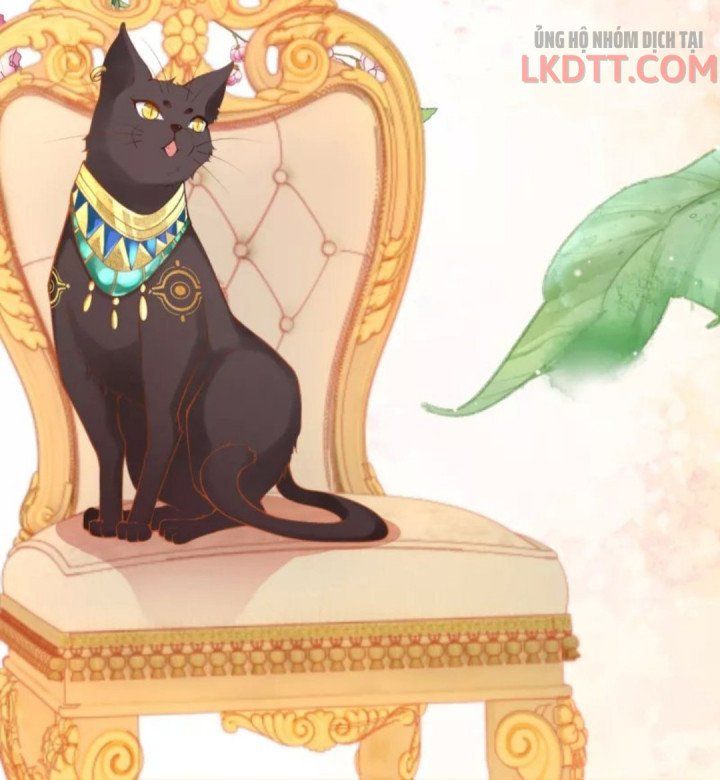 đọc truyện Xuyên Không Đến Ai Câp – Trở Thành Nàng Dâu Của Vua Chương 13 ảnh 32 tại Thiên Thai Truyện