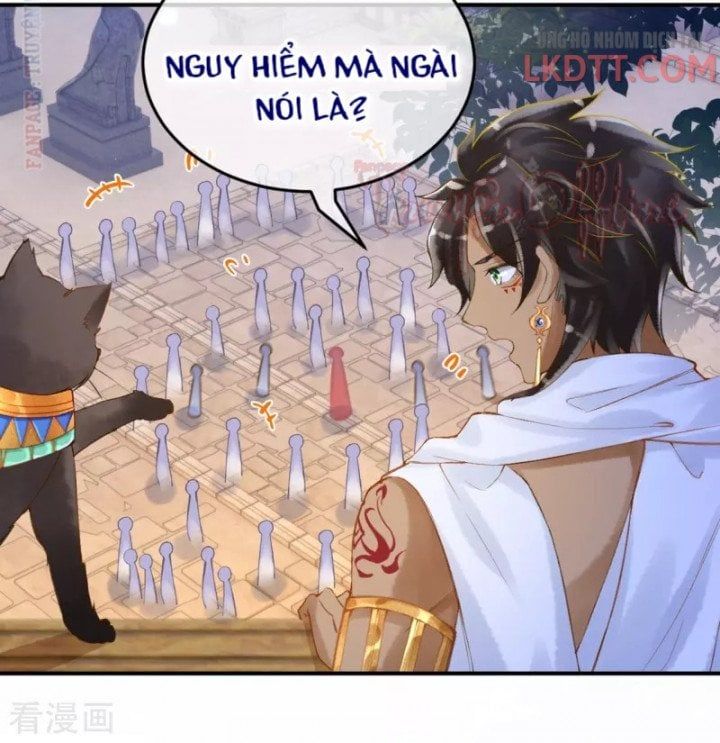 đọc truyện Xuyên Không Đến Ai Câp – Trở Thành Nàng Dâu Của Vua Chương 13 ảnh 8 tại Thiên Thai Truyện