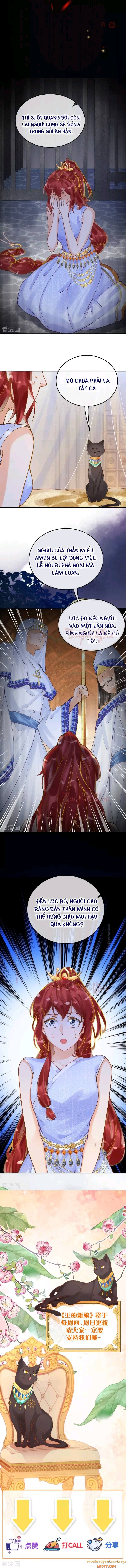 đọc truyện Xuyên Không Đến Ai Câp – Trở Thành Nàng Dâu Của Vua Chương 14 ảnh 8 tại Thiên Thai Truyện