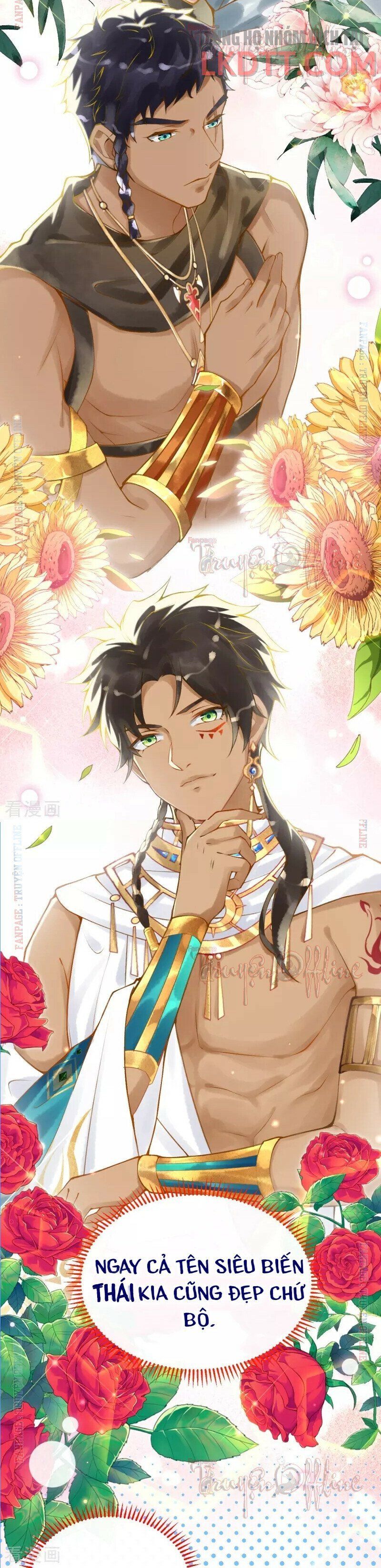 đọc truyện Xuyên Không Đến Ai Câp – Trở Thành Nàng Dâu Của Vua Chương 15.2 ảnh 4 tại Thiên Thai Truyện