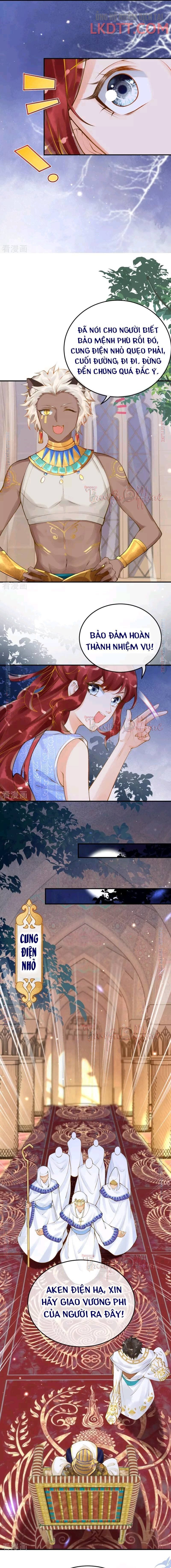 đọc truyện Xuyên Không Đến Ai Câp – Trở Thành Nàng Dâu Của Vua Chương 16.1 ảnh 8 tại Thiên Thai Truyện