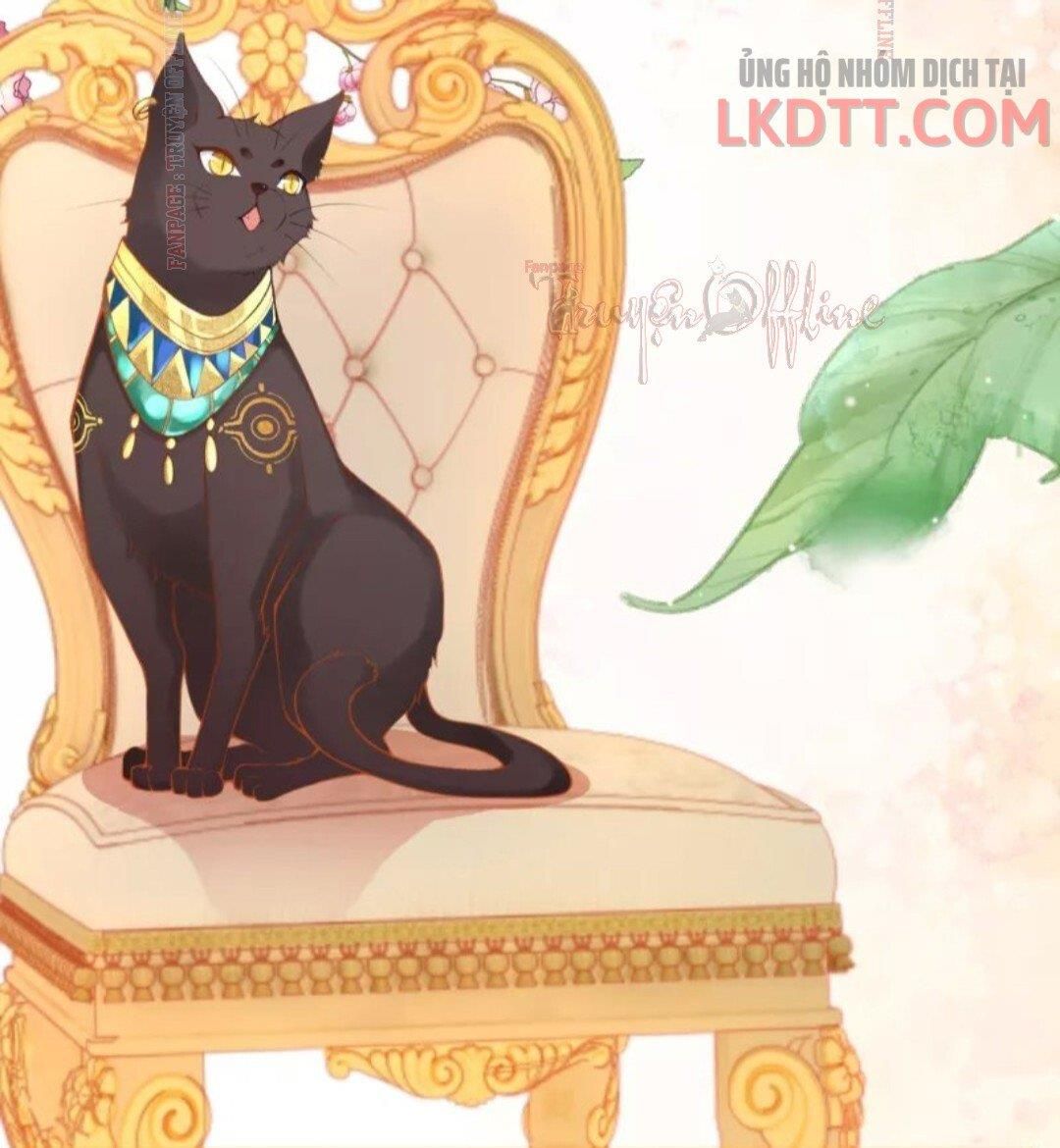 đọc truyện Xuyên Không Đến Ai Câp – Trở Thành Nàng Dâu Của Vua Chương 16.2 ảnh 11 tại Thiên Thai Truyện