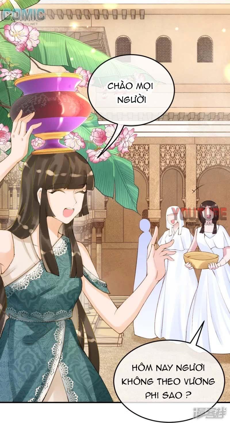 đọc truyện Xuyên Không Đến Ai Câp – Trở Thành Nàng Dâu Của Vua Chương 19 ảnh 16 tại Thiên Thai Truyện