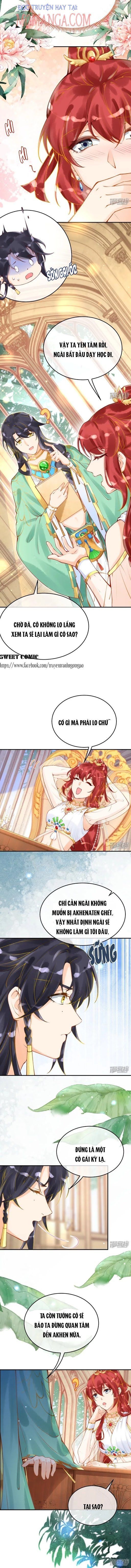 đọc truyện Xuyên Không Đến Ai Câp – Trở Thành Nàng Dâu Của Vua Chương 22 ảnh 6 tại Thiên Thai Truyện