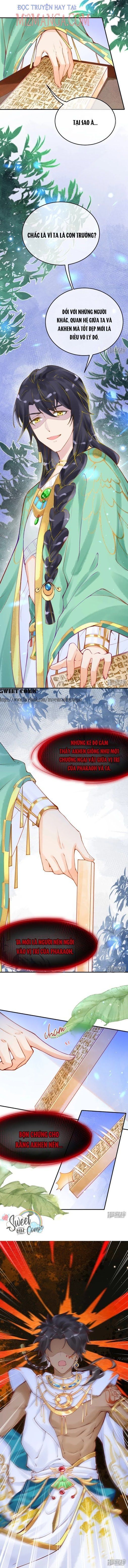 đọc truyện Xuyên Không Đến Ai Câp – Trở Thành Nàng Dâu Của Vua Chương 22 ảnh 7 tại Thiên Thai Truyện