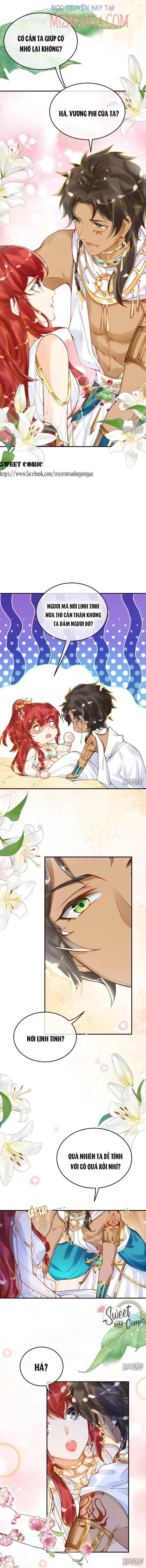 đọc truyện Xuyên Không Đến Ai Câp – Trở Thành Nàng Dâu Của Vua Chương 23 ảnh 6 tại Thiên Thai Truyện