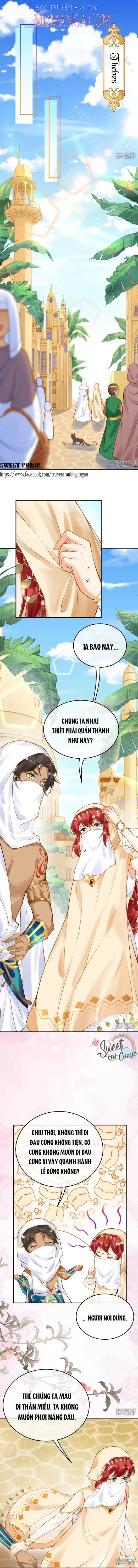 đọc truyện Xuyên Không Đến Ai Câp – Trở Thành Nàng Dâu Của Vua Chương 24 ảnh 5 tại Thiên Thai Truyện