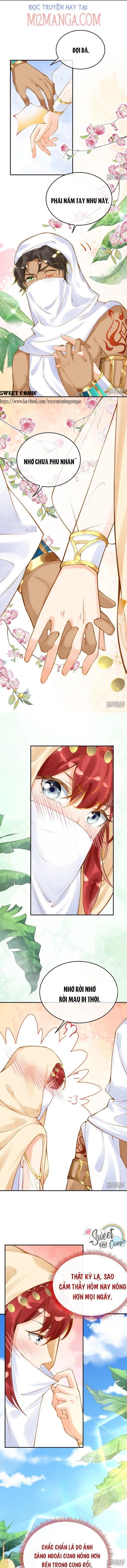 đọc truyện Xuyên Không Đến Ai Câp – Trở Thành Nàng Dâu Của Vua Chương 24 ảnh 6 tại Thiên Thai Truyện