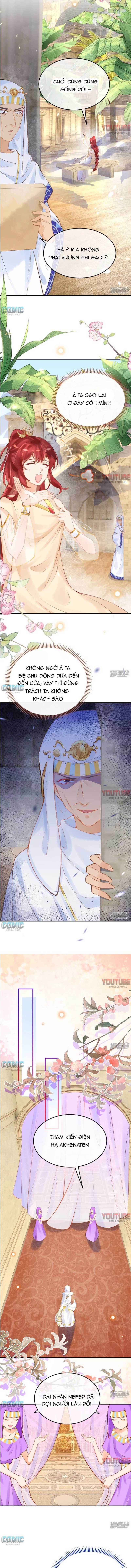 đọc truyện Xuyên Không Đến Ai Câp – Trở Thành Nàng Dâu Của Vua Chương 25 ảnh 8 tại Thiên Thai Truyện