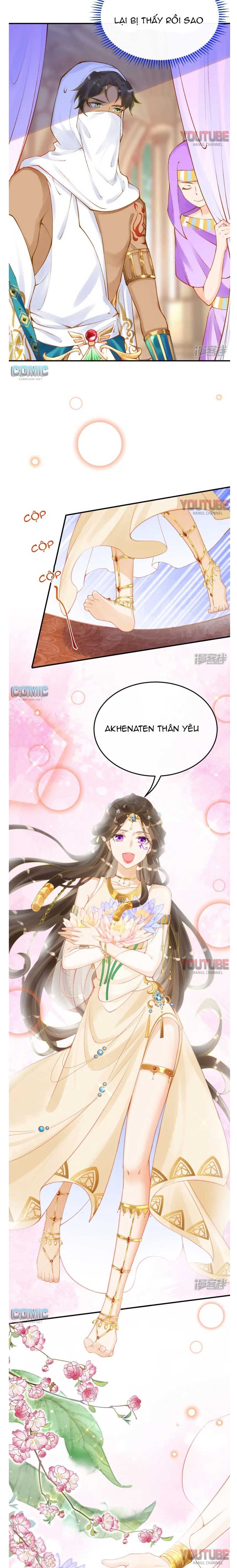 đọc truyện Xuyên Không Đến Ai Câp – Trở Thành Nàng Dâu Của Vua Chương 25 ảnh 9 tại Thiên Thai Truyện