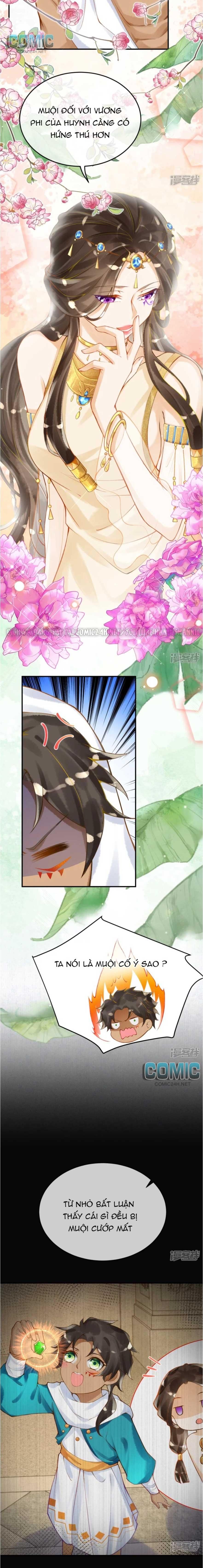 đọc truyện Xuyên Không Đến Ai Câp – Trở Thành Nàng Dâu Của Vua Chương 26 ảnh 8 tại Thiên Thai Truyện