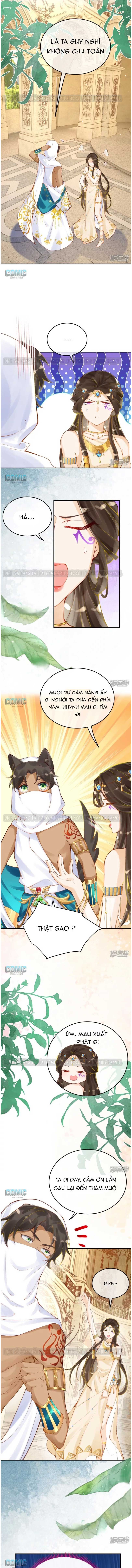 đọc truyện Xuyên Không Đến Ai Câp – Trở Thành Nàng Dâu Của Vua Chương 27 ảnh 5 tại Thiên Thai Truyện