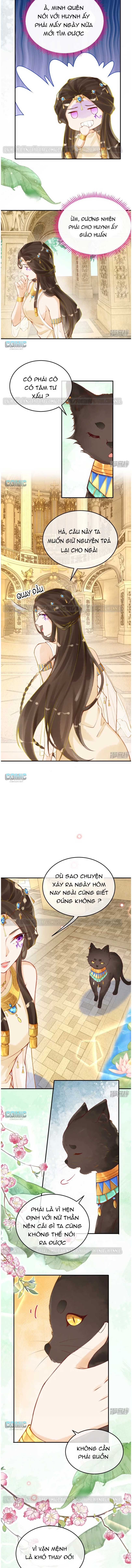 đọc truyện Xuyên Không Đến Ai Câp – Trở Thành Nàng Dâu Của Vua Chương 27 ảnh 6 tại Thiên Thai Truyện