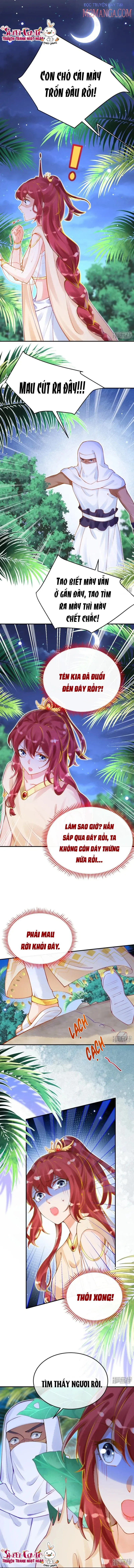 đọc truyện Xuyên Không Đến Ai Câp – Trở Thành Nàng Dâu Của Vua Chương 31 ảnh 5 tại Thiên Thai Truyện