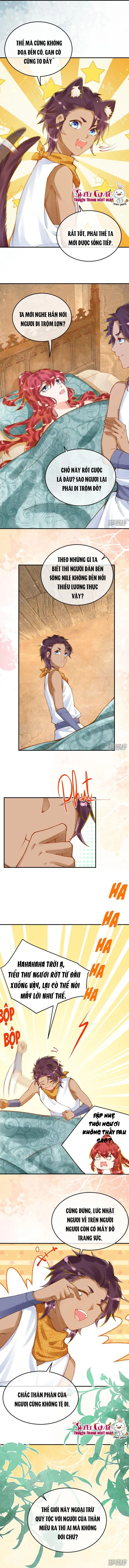 đọc truyện Xuyên Không Đến Ai Câp – Trở Thành Nàng Dâu Của Vua Chương 33 ảnh 7 tại Thiên Thai Truyện