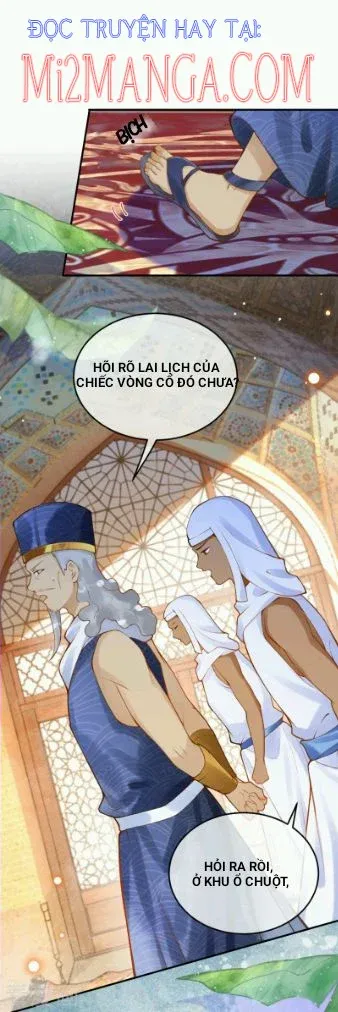 đọc truyện Xuyên Không Đến Ai Câp – Trở Thành Nàng Dâu Của Vua Chương 40 ảnh 13 tại Thiên Thai Truyện