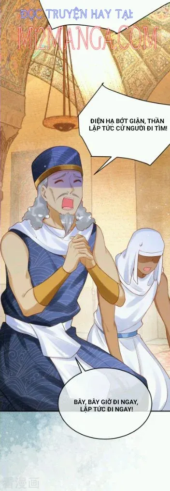 đọc truyện Xuyên Không Đến Ai Câp – Trở Thành Nàng Dâu Của Vua Chương 40 ảnh 8 tại Thiên Thai Truyện