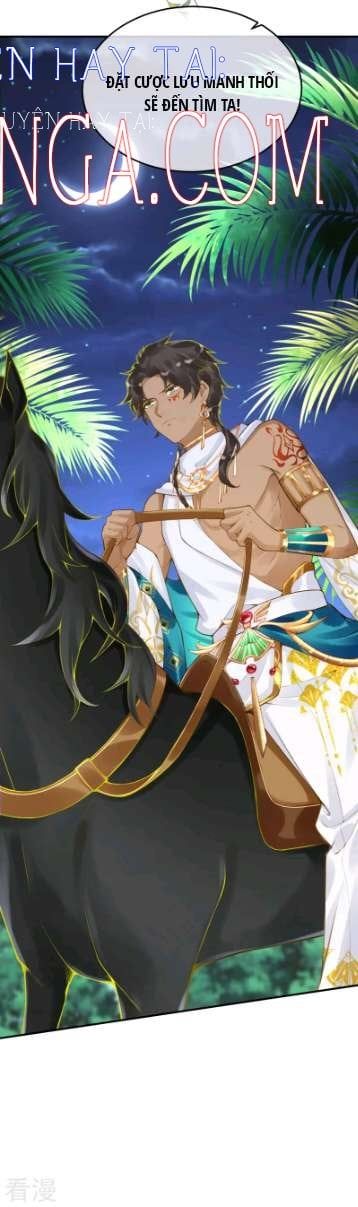 đọc truyện Xuyên Không Đến Ai Câp – Trở Thành Nàng Dâu Của Vua Chương 43 ảnh 38 tại Thiên Thai Truyện