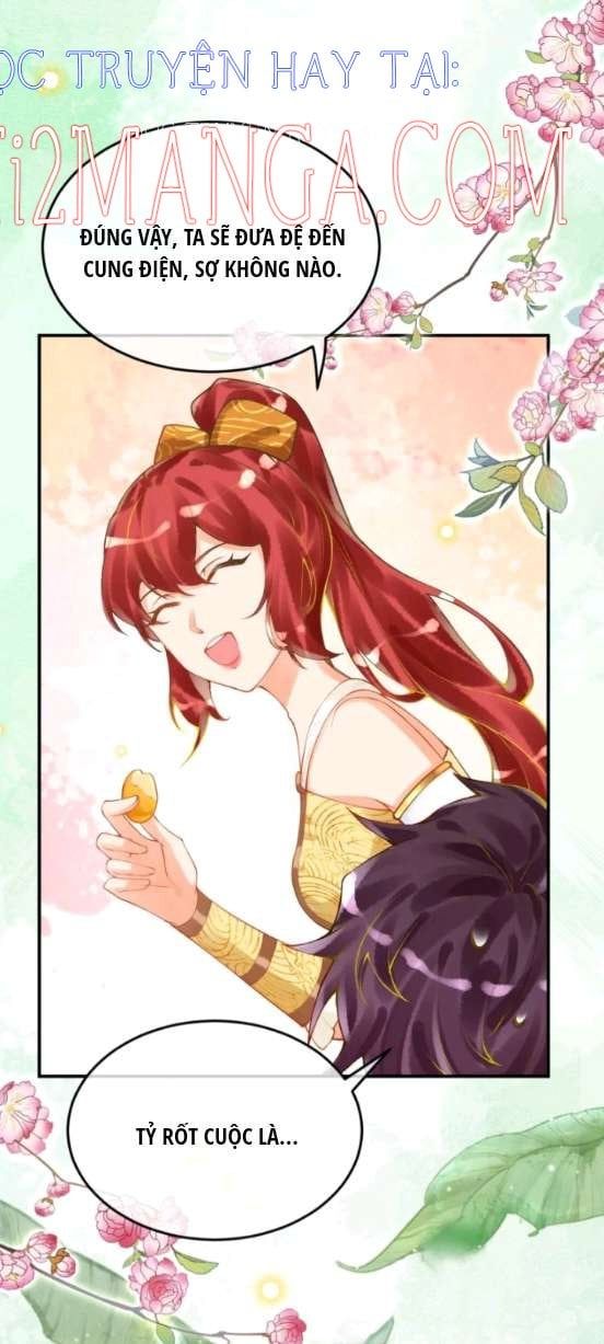 đọc truyện Xuyên Không Đến Ai Câp – Trở Thành Nàng Dâu Của Vua Chương 44.5 ảnh 8 tại Thiên Thai Truyện