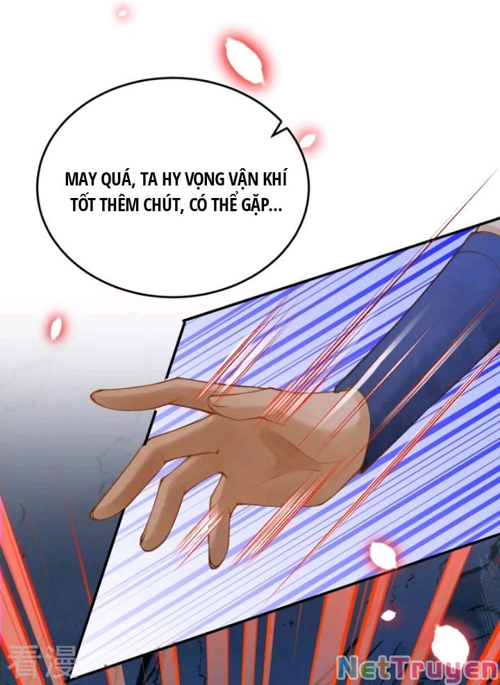 đọc truyện Xuyên Không Đến Ai Câp – Trở Thành Nàng Dâu Của Vua Chương 45 ảnh 34 tại Thiên Thai Truyện