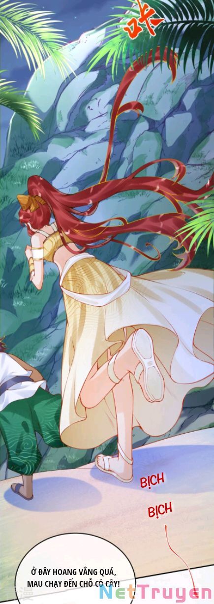 đọc truyện Xuyên Không Đến Ai Câp – Trở Thành Nàng Dâu Của Vua Chương 45 ảnh 7 tại Thiên Thai Truyện