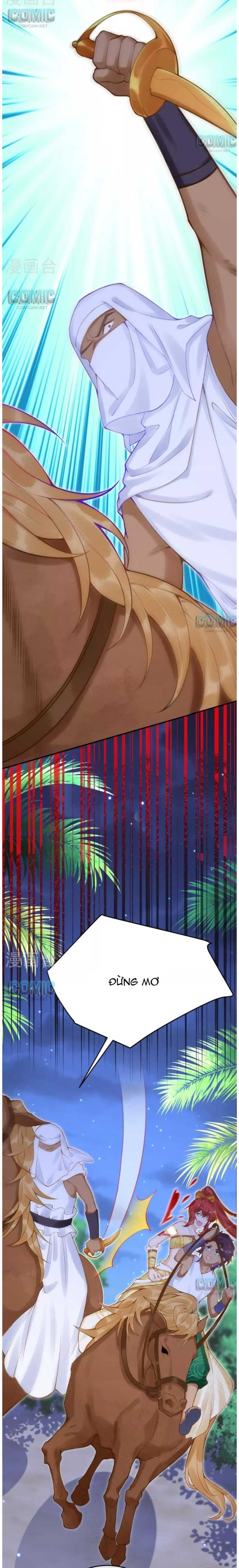 đọc truyện Xuyên Không Đến Ai Câp – Trở Thành Nàng Dâu Của Vua Chương 46 ảnh 13 tại Thiên Thai Truyện