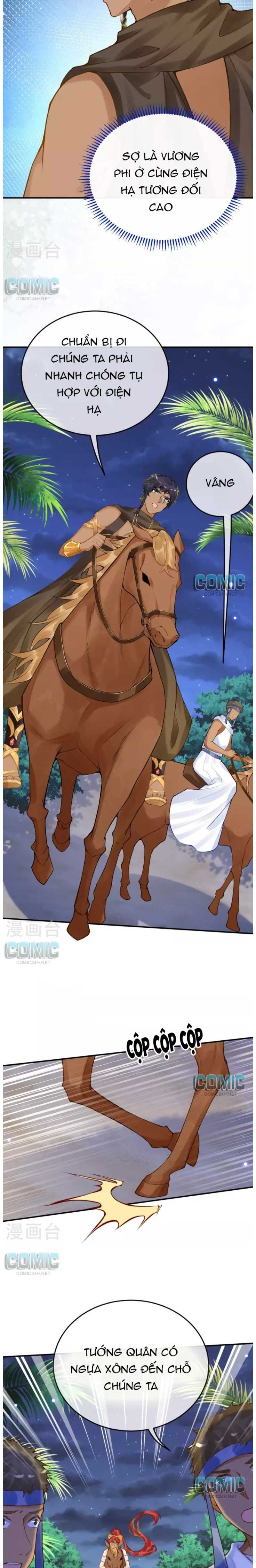 đọc truyện Xuyên Không Đến Ai Câp – Trở Thành Nàng Dâu Của Vua Chương 47 ảnh 4 tại Thiên Thai Truyện