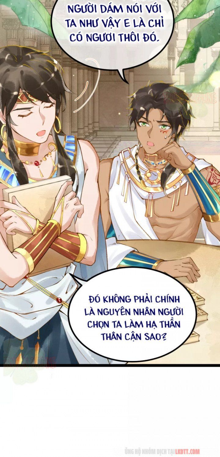 đọc truyện Xuyên Không Đến Ai Câp – Trở Thành Nàng Dâu Của Vua Chương 8 ảnh 20 tại Thiên Thai Truyện