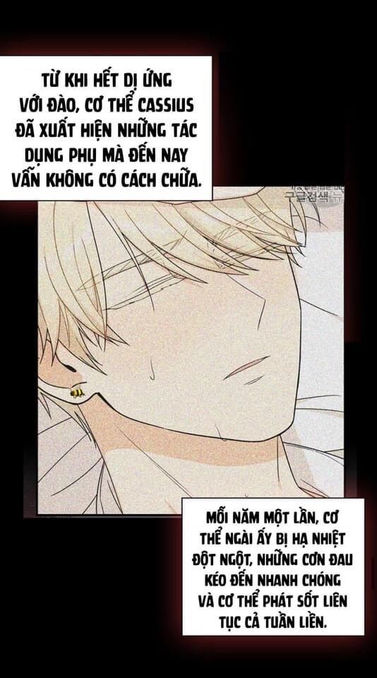 đọc truyện Xuyên Không Thành Mami Của Nhân Vật Phản Diện Chương 30 ảnh 57 tại Thiên Thai Truyện