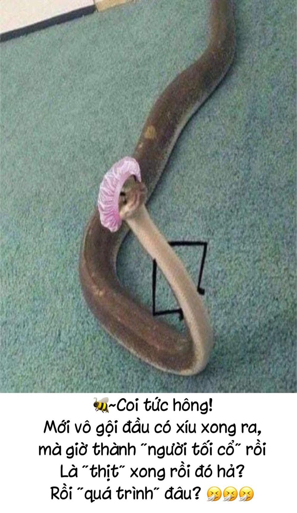 đọc truyện Xuyên Không Thành Mami Của Nhân Vật Phản Diện Chương 46 ảnh 56 tại Thiên Thai Truyện