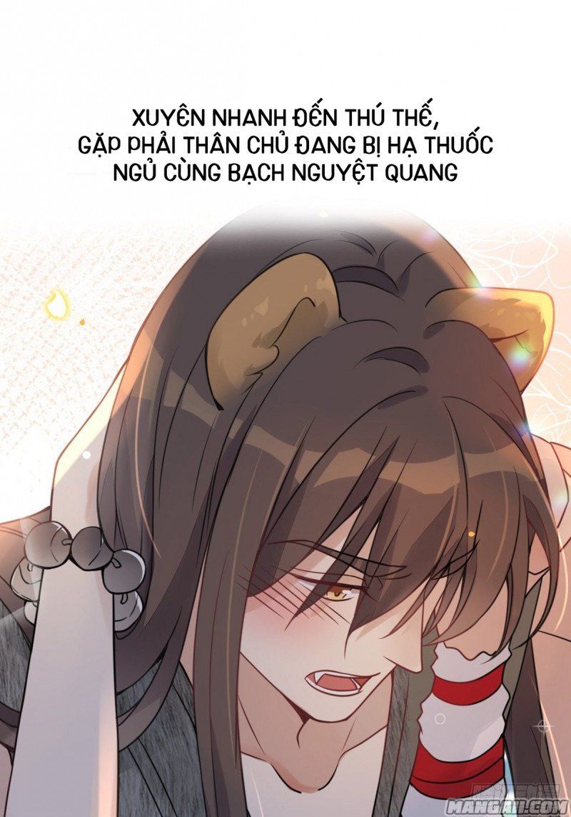 đọc truyện Xuyên Thành Kiều Thê Thú Nhân Làm Tui Phát Shock ! Chương 1 ảnh 4 tại Thiên Thai Truyện