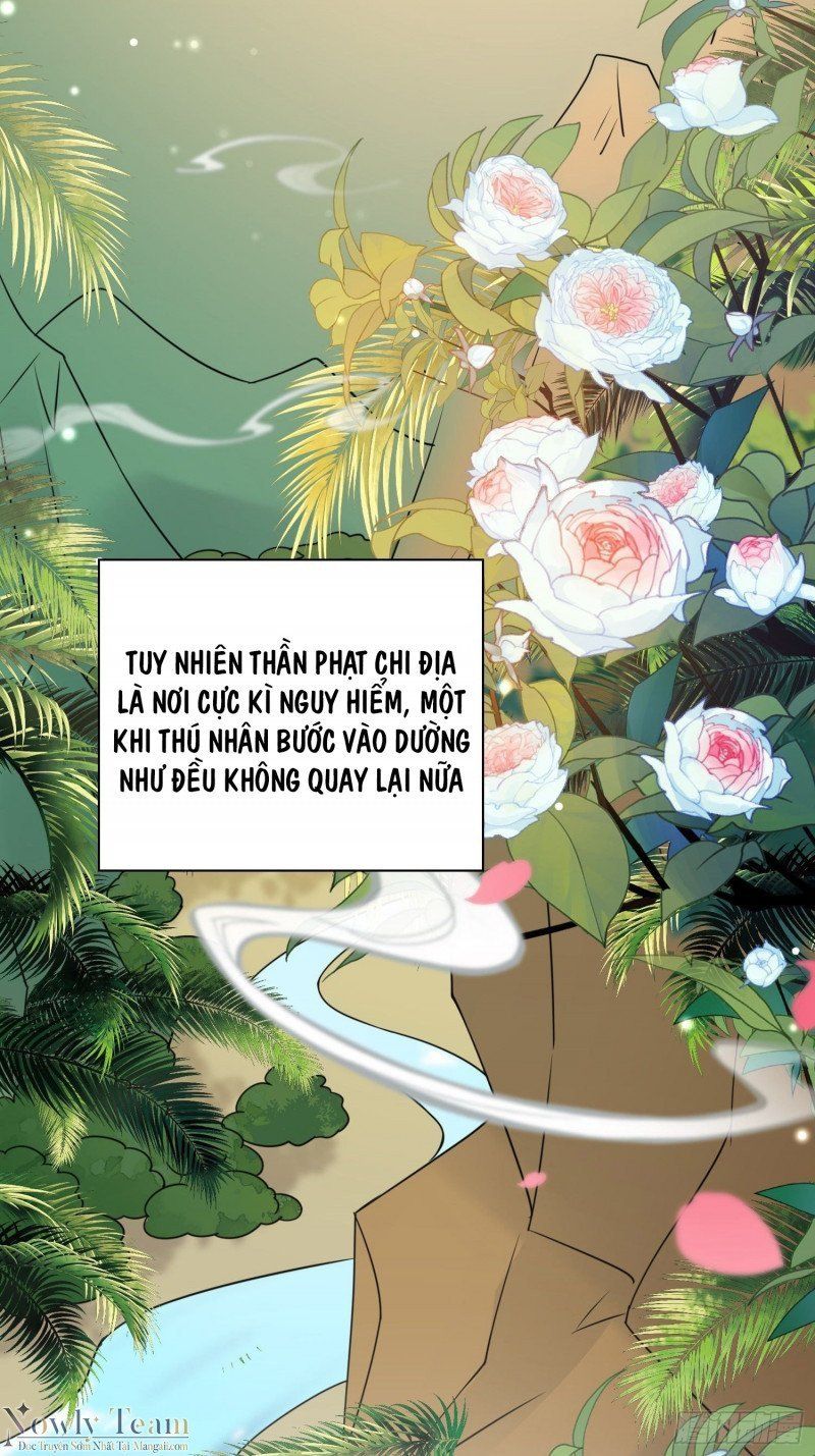 đọc truyện Xuyên Thành Kiều Thê Thú Nhân Làm Tui Phát Shock ! Chương 2 ảnh 21 tại Thiên Thai Truyện