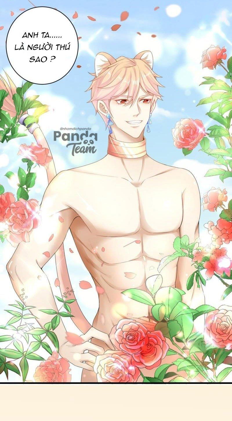 đọc truyện Xuyên Vào Thế Giới Thú Nhân Lập Hậu Cung Chương 0 ảnh 7 tại Thiên Thai Truyện