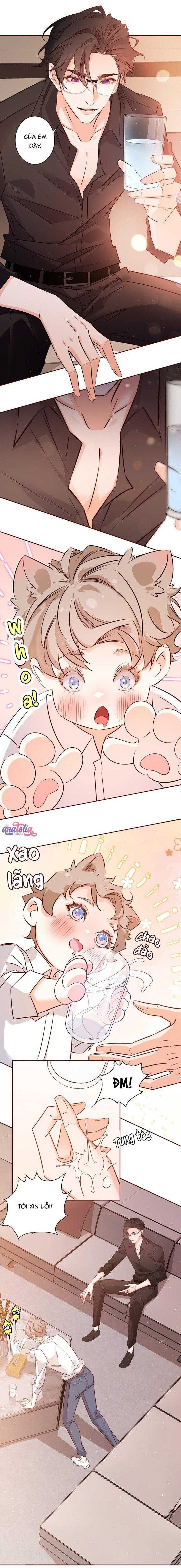 đọc truyện Yêu Em Bất Chấp Chương 15 ảnh 5 tại Thiên Thai Truyện