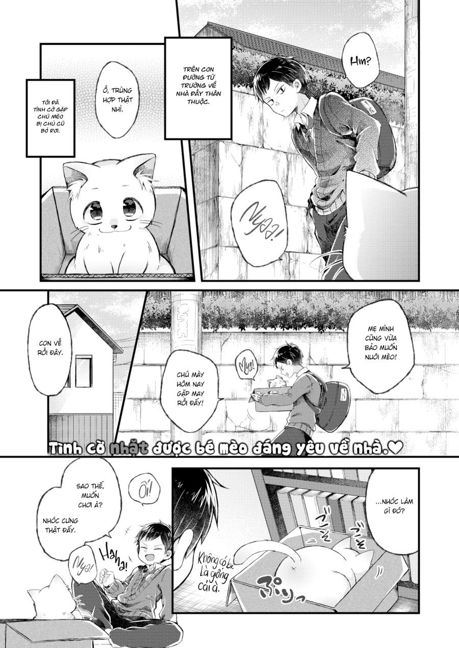 Yêu Miêu Oneshot page 1 - Giả Dược