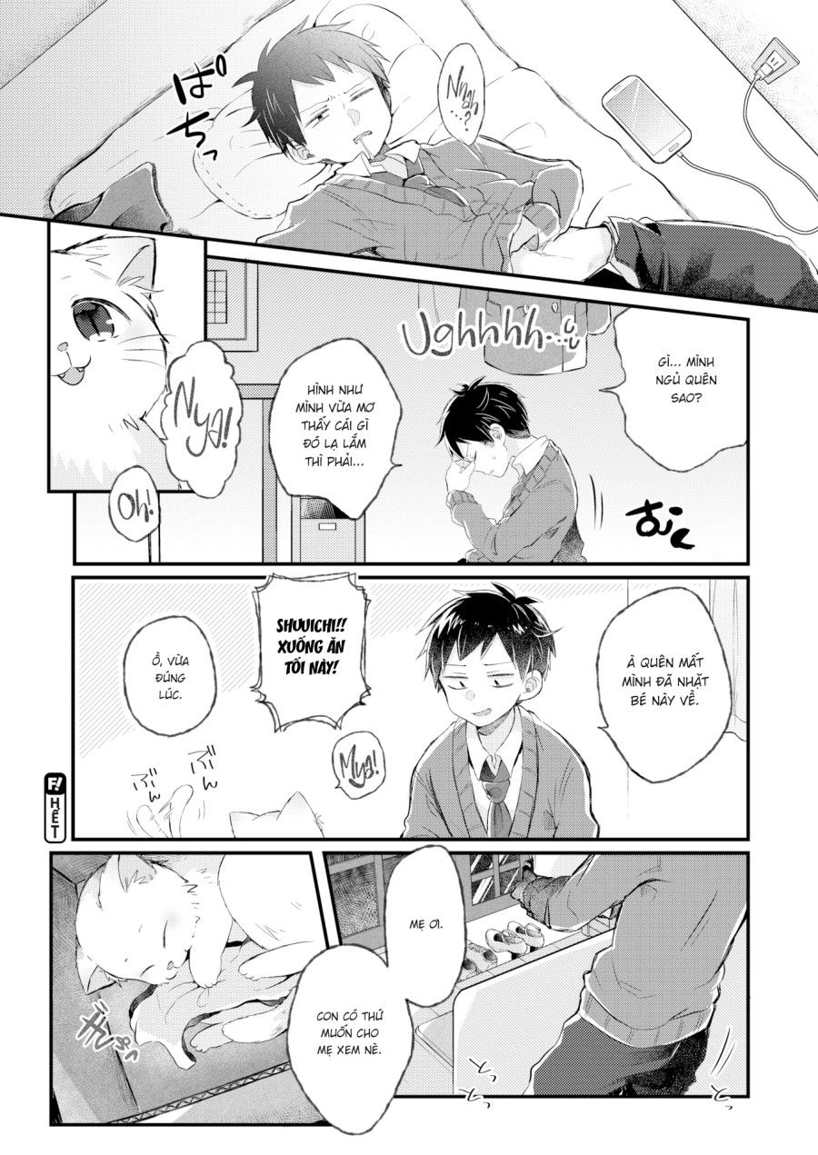 Yêu Miêu Oneshot page 20 - Giả Dược